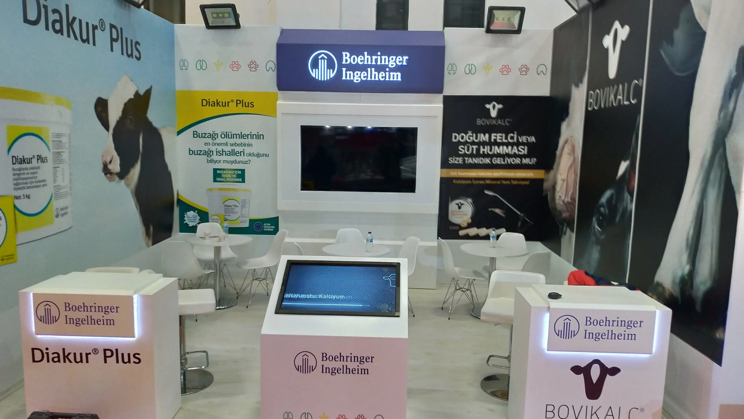 Find The Pair — Özel Tasarım 3