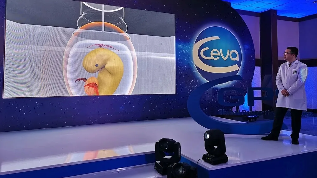 VR Conference — Özel Tasarım 3