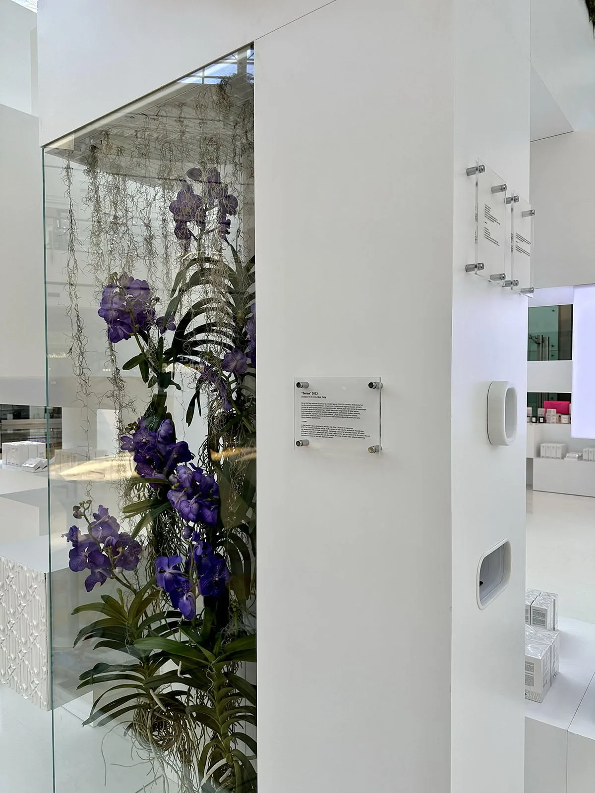 İpekyol Pop-Up Mağaza - 27