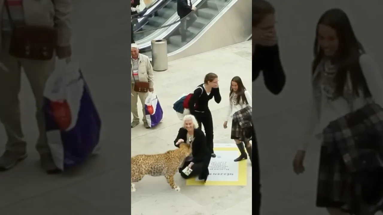 AR Ekran Kirala - Tanıtım Videosu